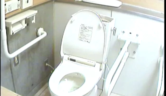 海岸9 – 日本の女性トイレ盗撮映像、隠しカメラで撮影した女子の用足し動画 のスクリーンショット 2