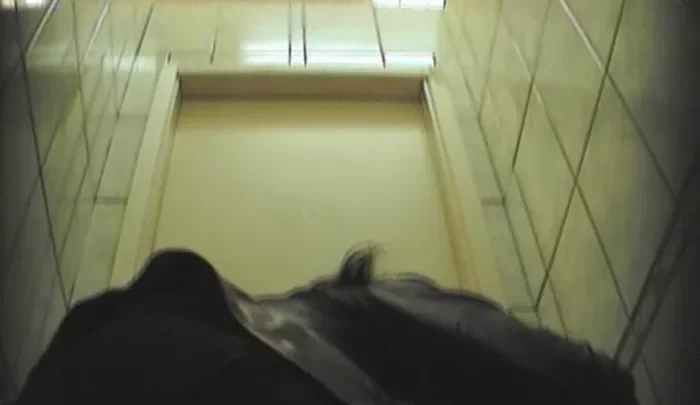spy2wc_26 のスクリーンショット 4