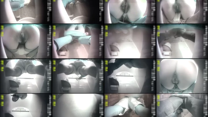 VIP個室盗撮04 – 和風トイレで無防備に用を足す素人娘たちの隠し撮り映像 のスクリーンショット 5