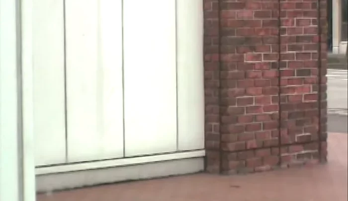 和式トイレ盗撮 隠しカメラで捉えた素顔の瞬間 トイレ盗隠しカメラ映像 のスクリーンショット 2