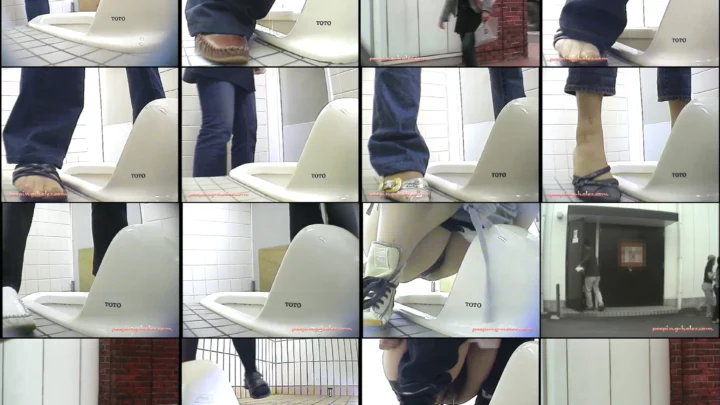和式トイレ盗撮4 隠しカメラで覗かれる女性たちのトイレ事情 のスクリーンショット 5