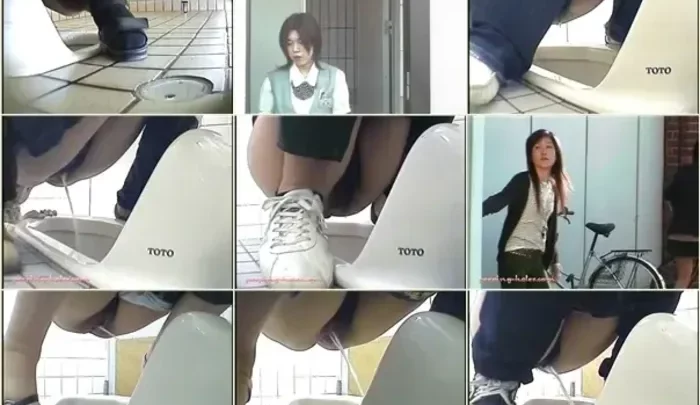 和式トイレ盗撮5 隠しカメラで捉えた素人女性のトイレ盗撮映像