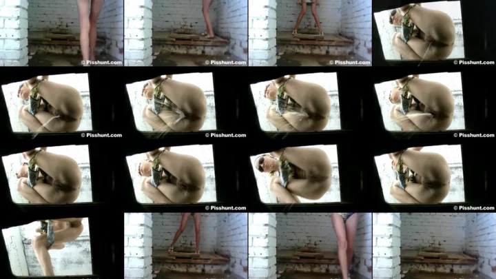pisshunt_toilet_73 のスクリーンショット 14