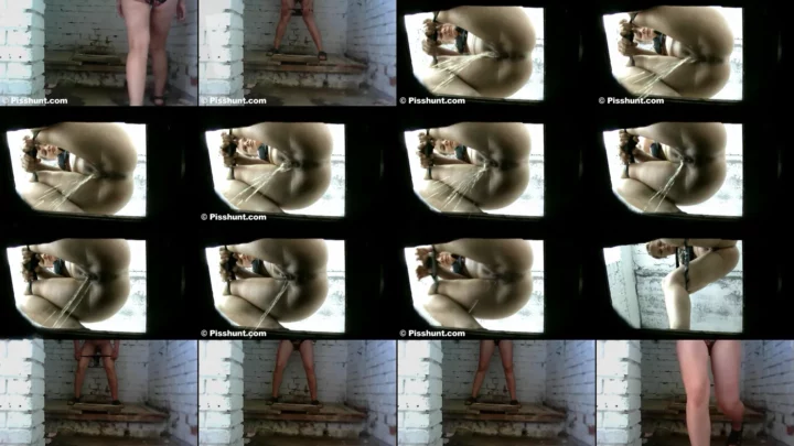 pisshunt_toilet_79 のスクリーンショット 15