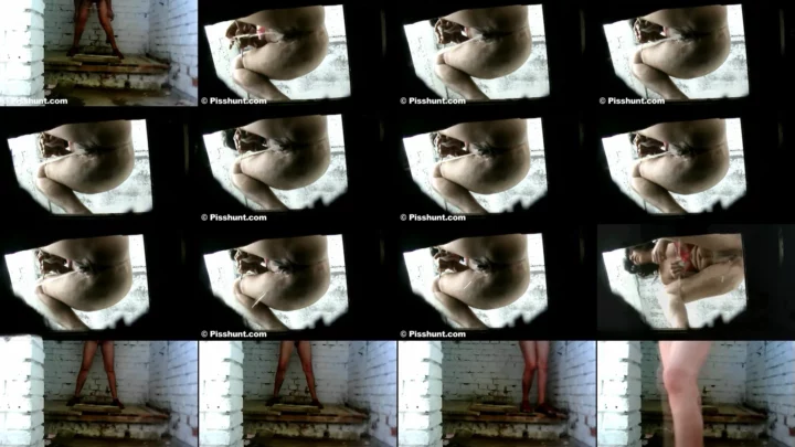 pisshunt_toilet_81 のスクリーンショット 6