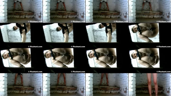 pisshunt_toilet_81 のスクリーンショット 13
