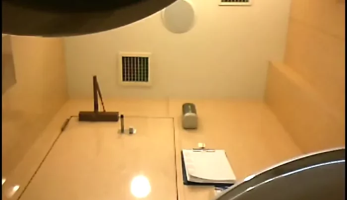 イタリアントイレ9 – 日本のトイレ盗撮、隠しカメラで覗かれる女性たちの用足し映像 のスクリーンショット 2