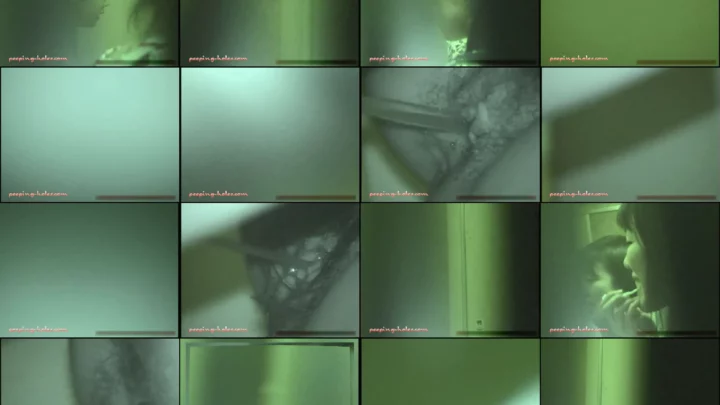 居酒屋トイレ盗撮25 – 覗き穴からの無修正隠しカメラ映像 夜間盗撮で捉えた女子トイレの瞬間 のスクリーンショット 5