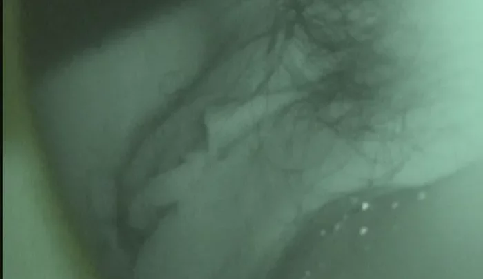 居酒屋トイレ盗撮6 – 覗き穴から撮影した隠しカメラ映像 夜間視覚モードで捉えた小便少女の無修正動画 のスクリーンショット 3