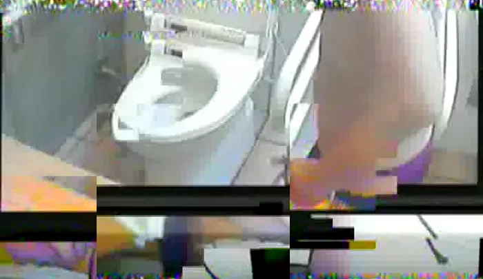 海岸8 – 日本のトイレ盗撮、隠しカメラで覗かれる女性たちの用足し映像 のスクリーンショット 4