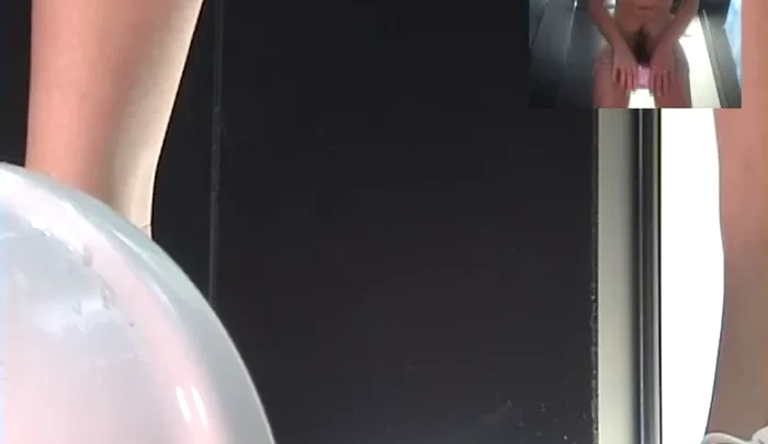 ランジェリートイレ4 – 覗き穴から盗撮した日本のトイレ盗撮映像 のスクリーンショット 2