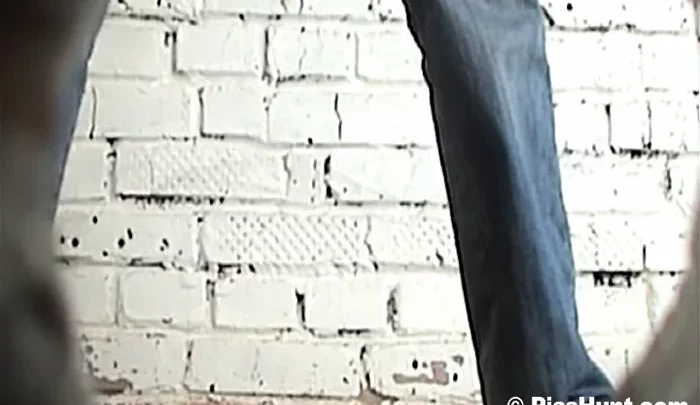 pisshunt_toilet_48 のスクリーンショット 4