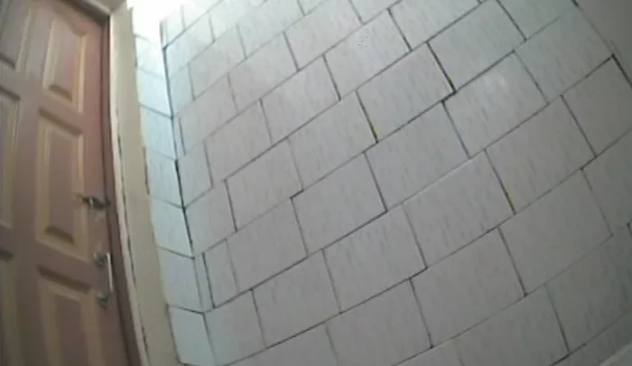 ロシアの大学トイレ盗撮 女子学生の用足し隠し撮り映像 のスクリーンショット 3