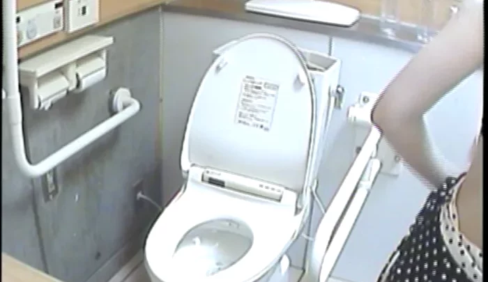 海願5 – 和式トイレの覗き穴盗撮 隠しカメラで捉えた無防備な瞬間 のスクリーンショット 4
