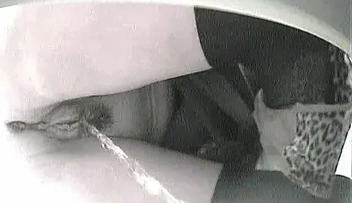 spy2wc_73