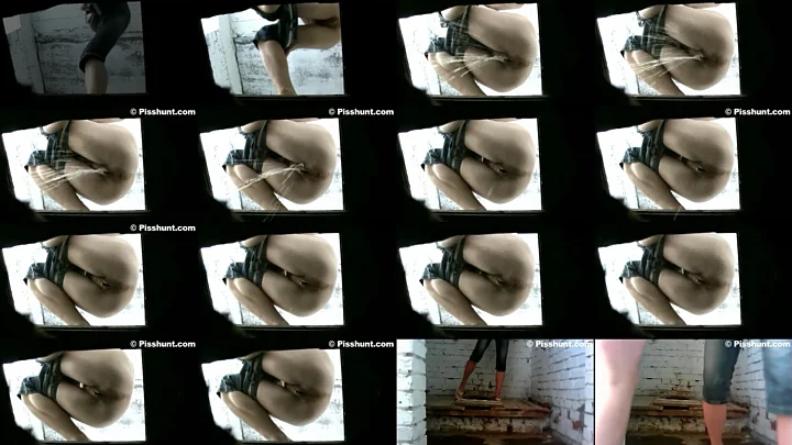 pisshunt_toilet_82 のスクリーンショット 6