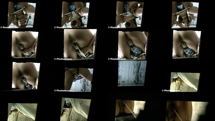 pisshunt_toilet_82 のスクリーンショット 11