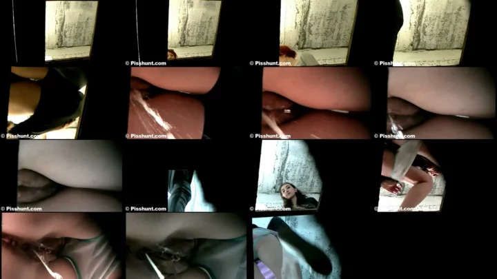 pisshunt_toilet_84 のスクリーンショット 6