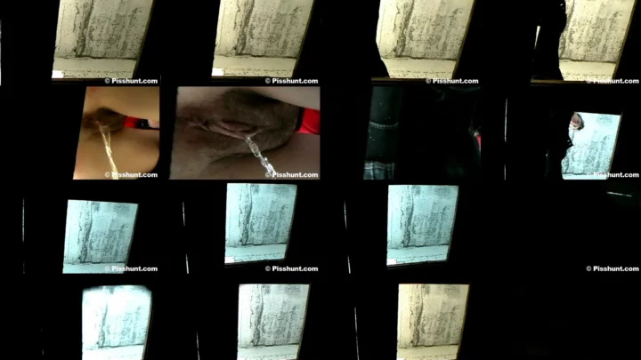 pisshunt_toilet_84 のスクリーンショット 8