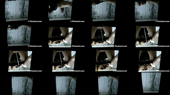 pisshunt_toilet_82 のスクリーンショット 13
