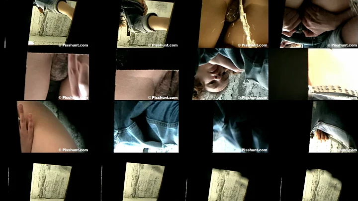 pisshunt_toilet_82 のスクリーンショット 14