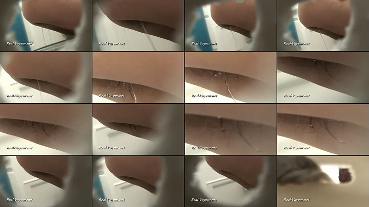 RV_08-t-134-155 のスクリーンショット 13