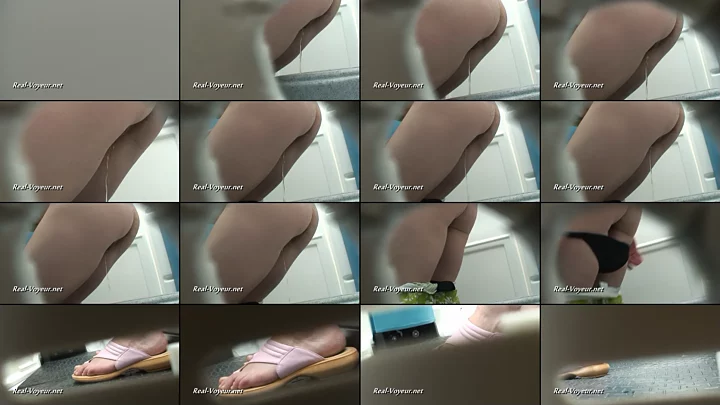 RV_08-t-134-155 のスクリーンショット 15