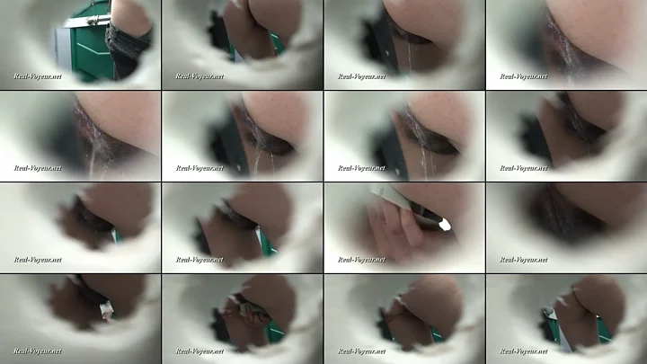RV_09-d-133-155 のスクリーンショット 16