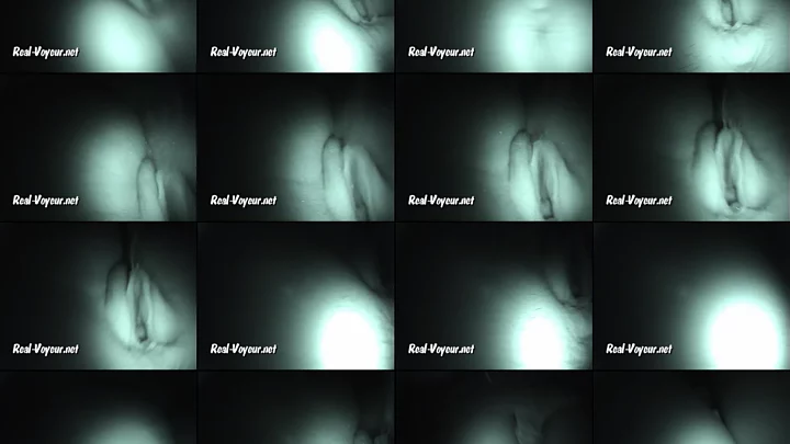RV_08-o-115-125 のスクリーンショット 12