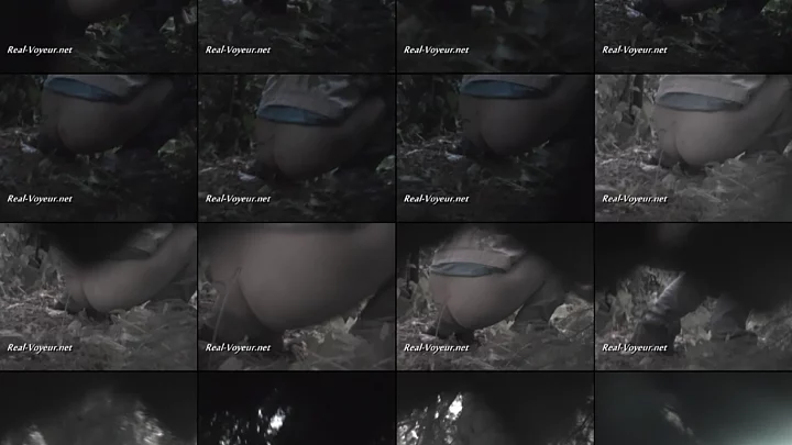RV_08-o-115-125 のスクリーンショット 13