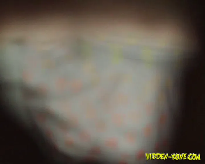 動画を再生:hiddenwc_833-852