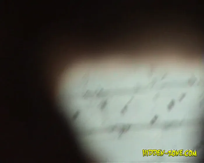 動画を再生:hiddenwc_991-1010