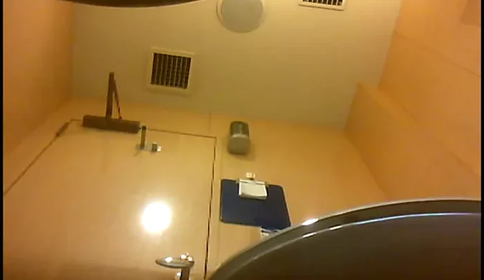 隠しカメラで盗撮！トイレで用を足す無防備な素人女性のプライベートな瞬間 のスクリーンショット 2