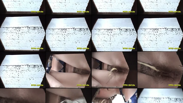 hiddenwc_1091-1110 のスクリーンショット 13