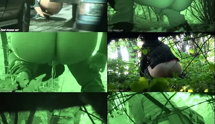 RV_2013-o-111-118 のスクリーンショット 12