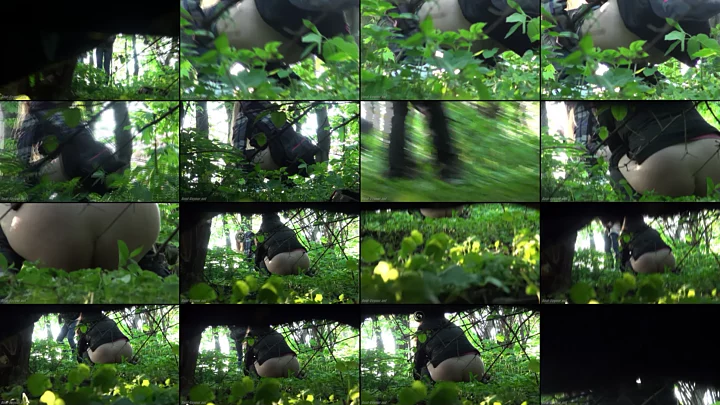RV_2013-o-111-118 のスクリーンショット 9
