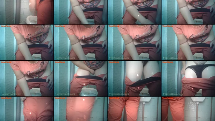 vb_toilet_1231-1240 のスクリーンショット 12