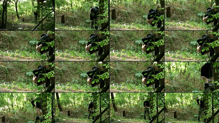 outdoors_173 のスクリーンショット 15