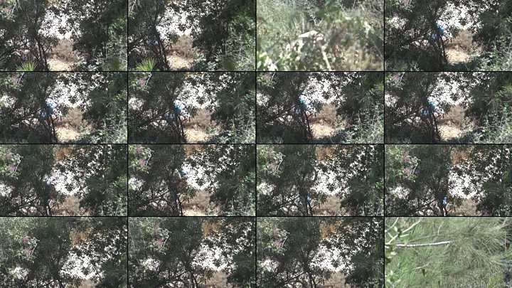 outdoors_167 のスクリーンショット 15